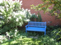 Kék bench