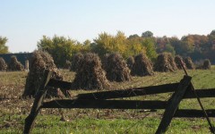 Amish feno pilha