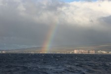 夏威夷Rainbow