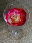 Glass Of Rosé