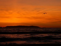 Sunset over Catalina Island