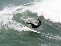 Surfer elimina