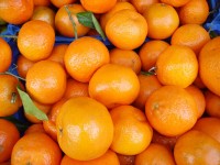 Orangen