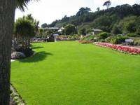 Lawn In The Park