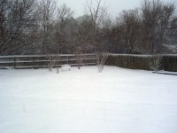 雪backyard