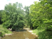 Woods en stream
