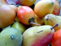 Různé druhy ovoce