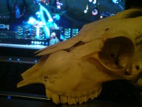 Craniul Capra gaming
