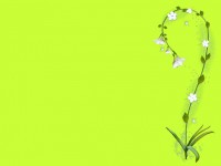 Fleur hortensia sur fond vert