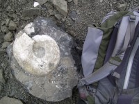 Ammonite et sac à dos