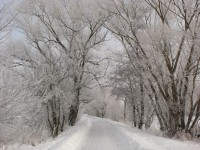 Strada in inverno
