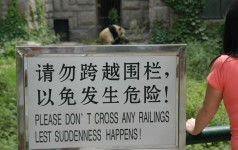 Warning: Panda