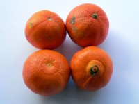 Clementina frutta