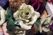 Pittura Rose 1 background