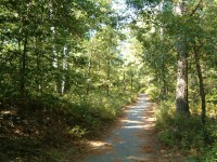 Virgínia Trail