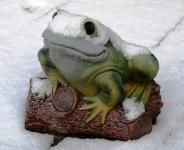 Ornament żaba