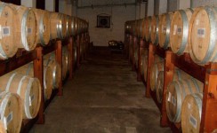 Barrels Of Brandy