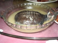 Turtle Suppe