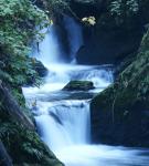 Quinault Водопад