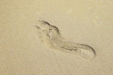 Fotavtryck i Sand
