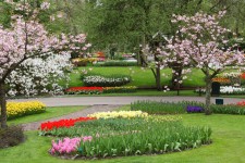 Jardim Primavera