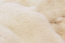Textura de piel de oveja