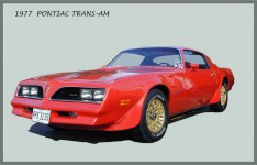 1977 Pontiac Transam