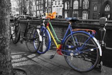 Kolorowe rowerów