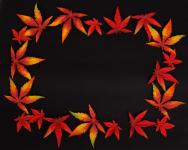 Dark autumn leaf frame