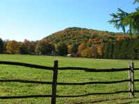 A Fall Laurel Highlands