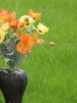 Vázy s květinami tráva closeup