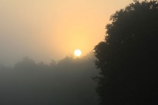 Sunrise Foggy