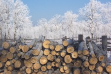 Frosty houtstapel