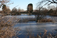 Frozen Lake 5