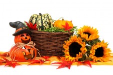 La decoración de Halloween de la cosecha