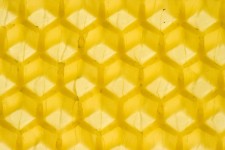 Honeycomb makro