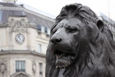 León en la plaza Trafalgar