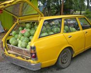 Melone di consegna
