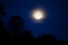 Paysage au clair de lune