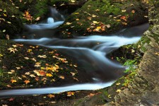 Mountain stream in autumn