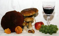 Funghi di mele e il vino