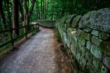 Ruta de acceso en los bosques