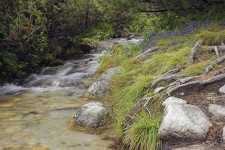 Potok ve Vysokých Tatrách