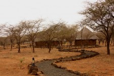 Safari acampamento