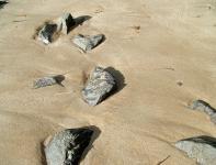 Stenen in het zand