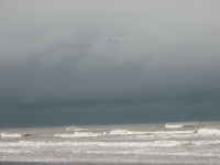 Furtună cer ocean pescarus