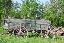 Wagon und Holzstapel