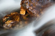 Mokre skały w rzece