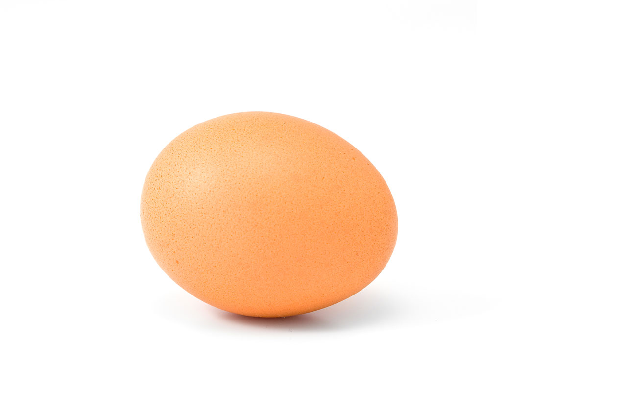 Egy tojás
