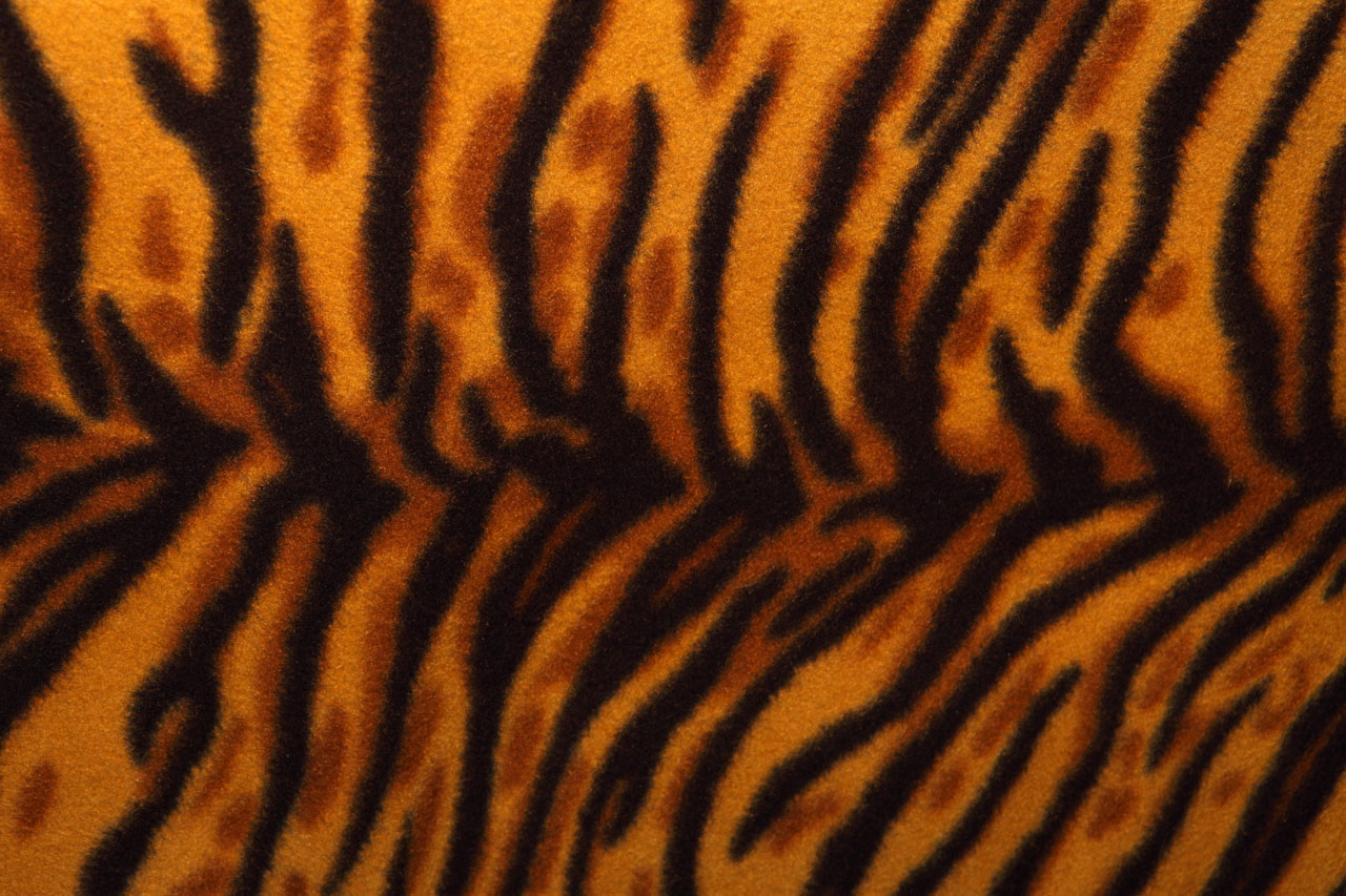Tiger Padrão